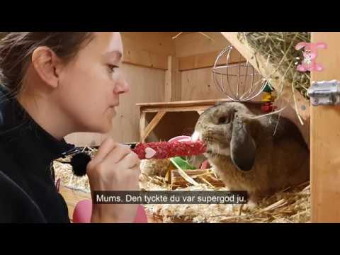 Fröstänger 2p - Lovely Valentine`s Edition - Video