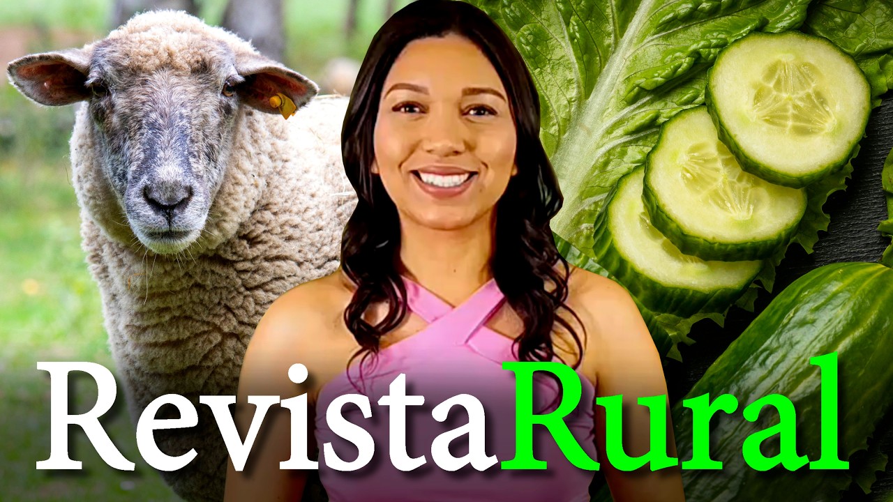 PROGRAMA REVISTA RURAL - 23/08/2026