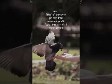 wacat dikhai deta par taim par deta h