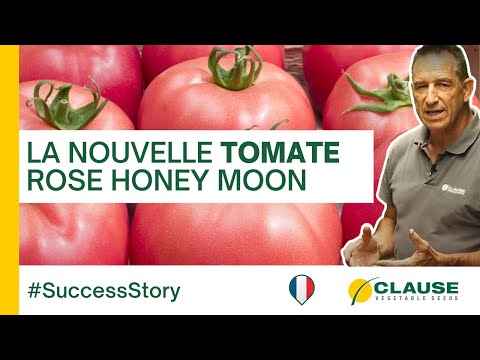 Video: HONEY MOON F1