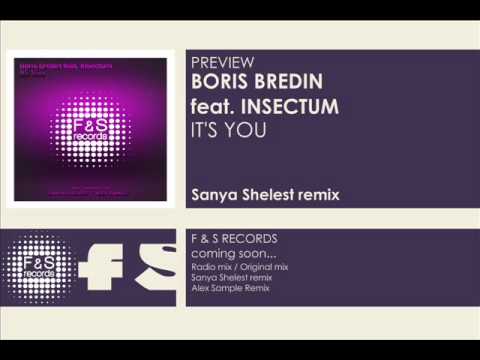 Boris Bredin feat. Insectum - It's You (Sanya Shelest Remix)