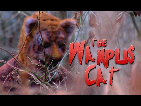 THE WAMPUS CAT (2024) Official Trailer - Moonlight Films