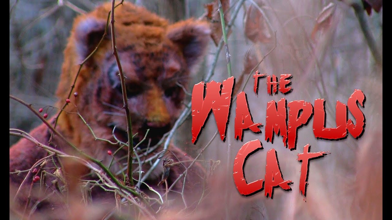 Miniature de la vidéo THE WAMPUS CAT (2024) Official Trailer - Moonlight Films du film The Wampus Cat