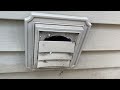 Mice Using Broken & Clogged Exhaust Vent in Long Branch, NJ