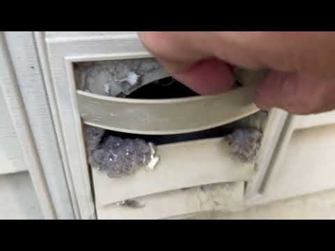 Mice Using Broken & Clogged Exhaust Vent in Long Branch, NJ