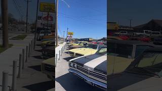 Live at Maple Motors | Lot Walk Filming + Ambient Sights & Sounds