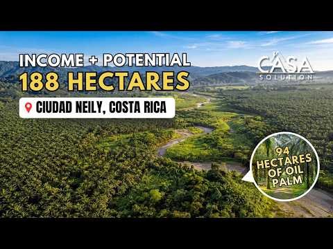 188-Hectare Investment Estate for Sale in Ciudad Neily, Costa Rica | Highway Frontage