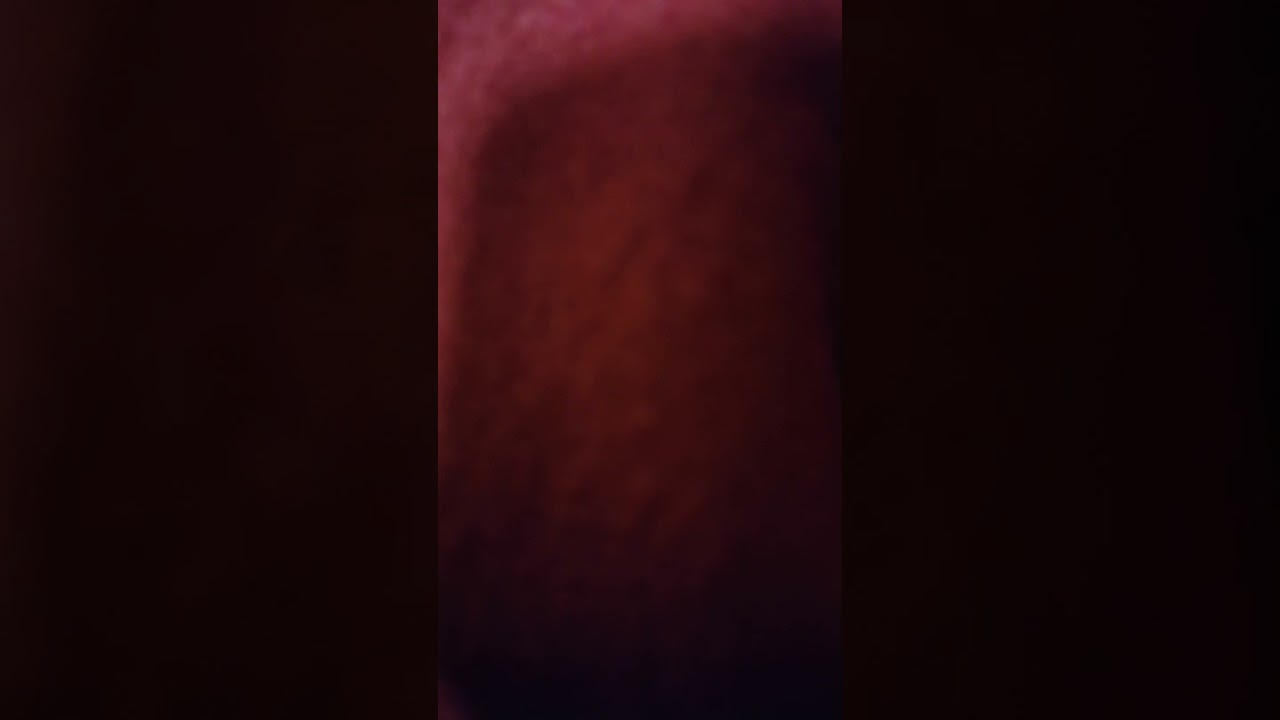 SINGING STARS rehearsing GAUDETE for our 2024 TOTALEIGH MUSIC Fundraising CHRISTMAS GALA