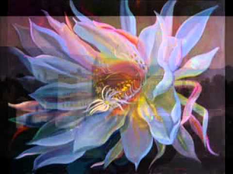 Luz de Luna y Jasmin (Moonlight and Jasmine)