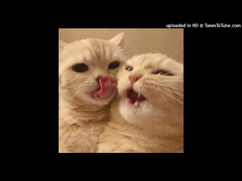 Piant - One Year (Audio)