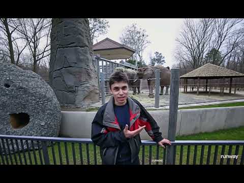 Me at the zoo but it's expanded with AI (Runway Gen-3 Alpha)