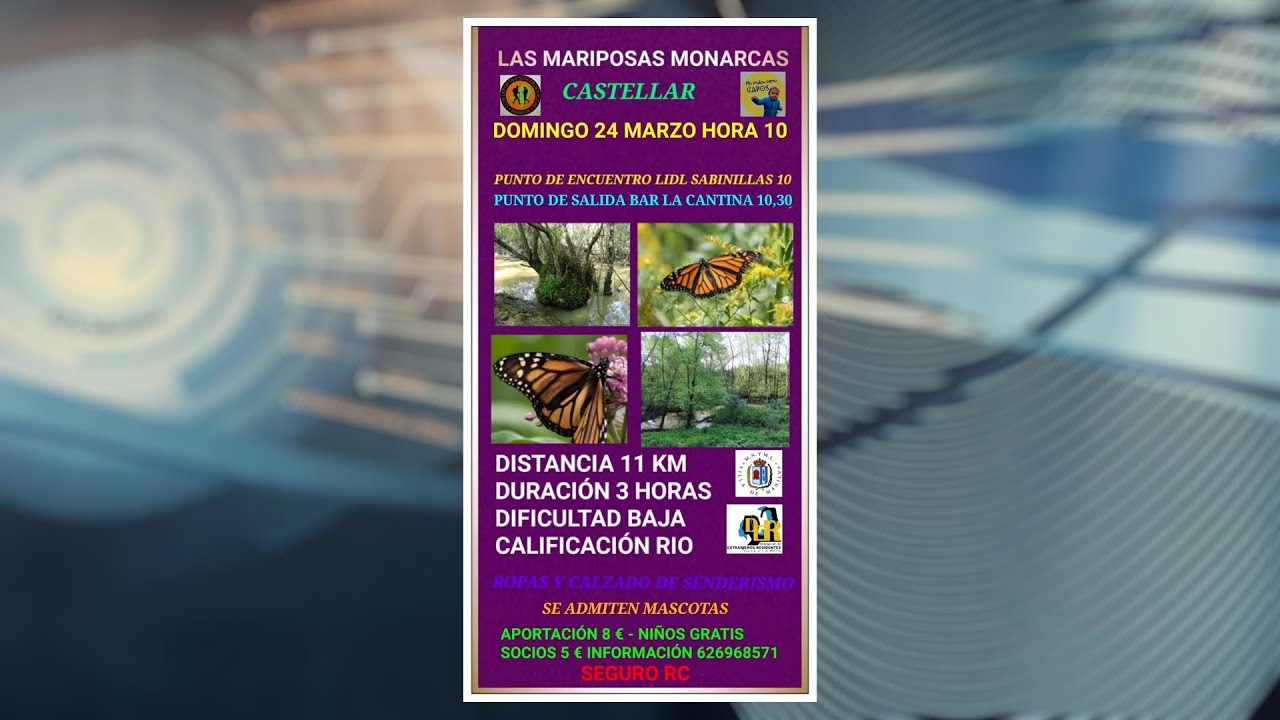 Ruta de la Mariposa Monarca