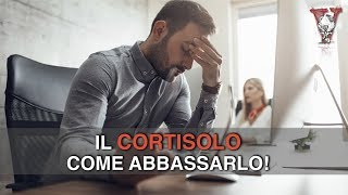 Cortisolo: come abbassarlo e come ridurlo