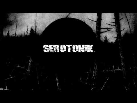 SEROTONIK   karnage pain and chaos ( techno hardcore )
