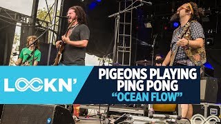 Music video thumbnail preview for \ by Pigeons Playing Ping Pong