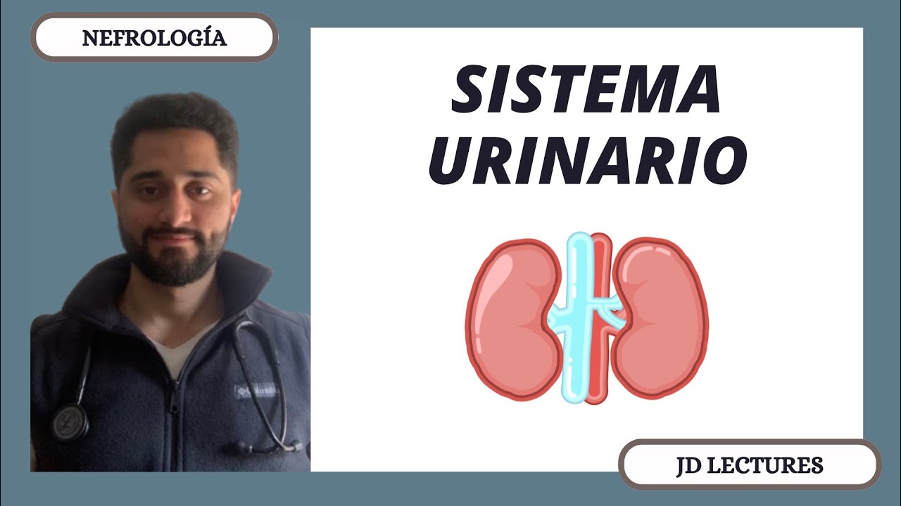 GENERALIDADES DEL SISTEMA RENAL | NEFROLOGÍA