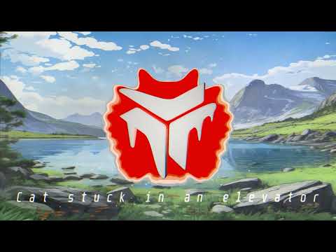 BARY - cat stuck in an elevator