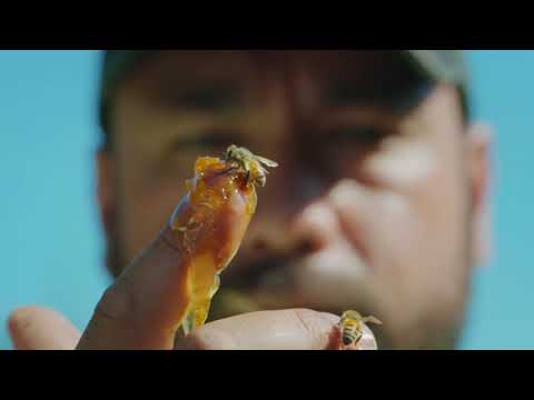 MyApiary Manager