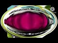 KlaskyKlaskyKlaskyKlaskyKlasky Gummy Bear Ultimate Pitch Shifting To Part 1
