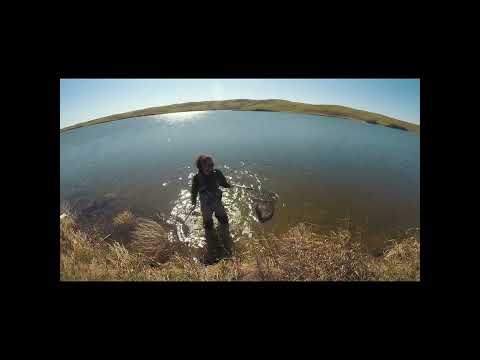 1.75 ? Cheap Lures That Work! ? Crank Baits