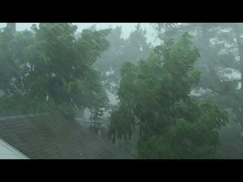 Heavy Rain and Wind Sounds For Sleeping / Relaxation - 10 Hours