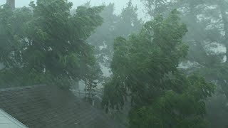 Heavy Rain and Wind Sounds For Sleeping / Relaxation - 10 Hours