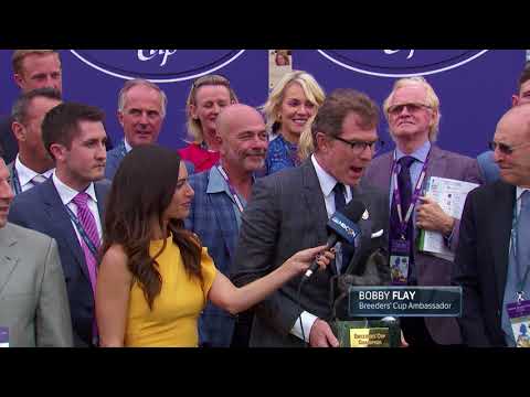 2017 Breeders' Cup Juvenile Turf - Mendelssohn
