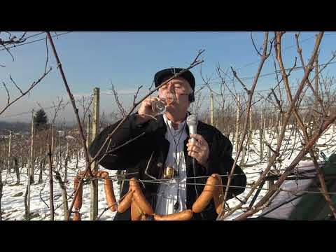 Sveti Martin na Muri - Virtualni Vincekov pohod 2021