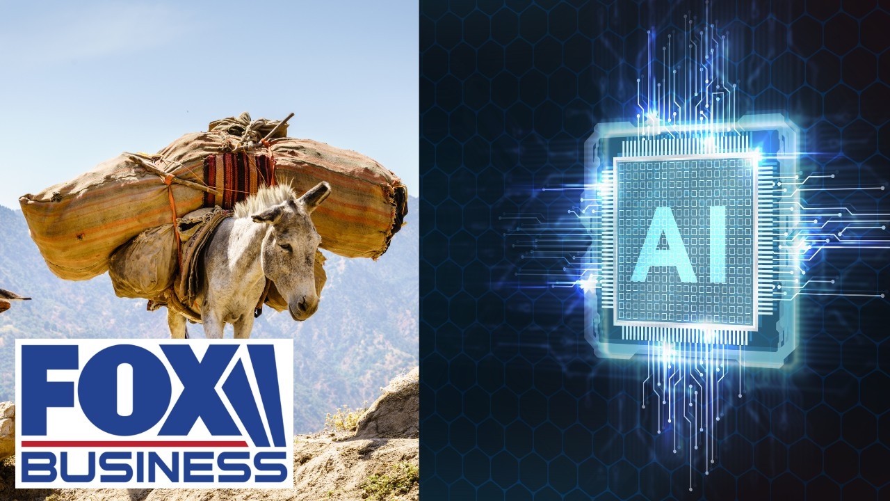 AI is more like a 'GLORIFIED MULE,' expert says