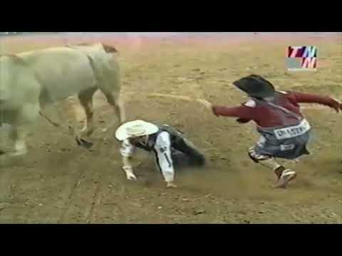 Promise Land bucks Michael Gaffney - 01 PBR Baltimore