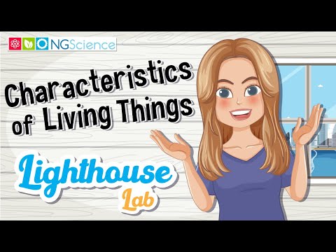 Lighthouse Lab – Characteristics of Living Things
