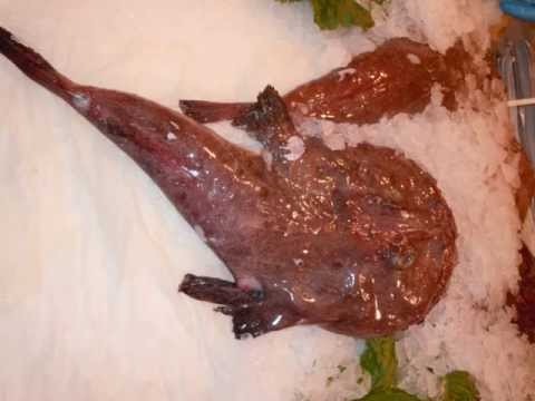 Vocabulario de cocina. Pescados