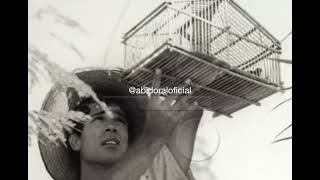 O CINEMA E AS BELEZAS DO CABO “ O pescador e sua Alma” 