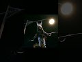 RRR Prison Escape Scene Ramcharan Jr NTR