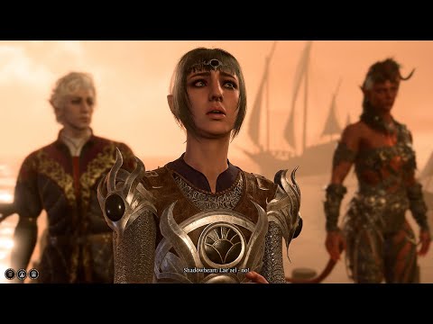 BG3 All Companions React to Lae'zel Stabbing Herself