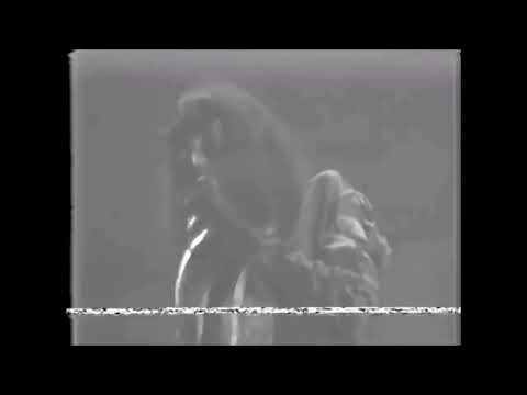 Joey Ramone (Sniper) - Vicious Cycle