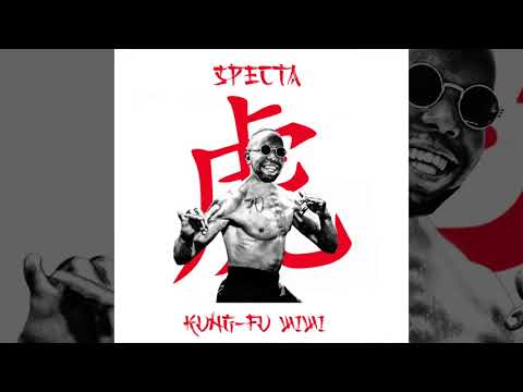 SPECTA - KUNG FU WiWi 🥋