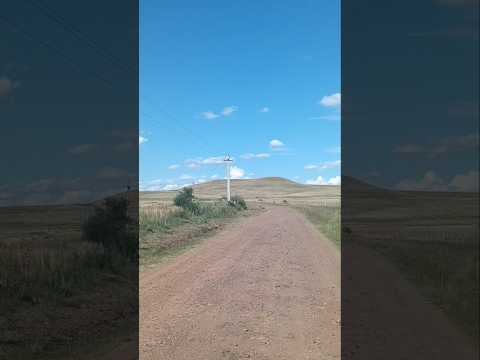 Camino entre las localidades de Sarandí de Arapey y Fernández , departamento de Salto , Uruguay 🇺🇾 .
