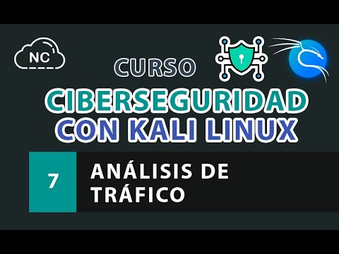 Curso de Ciberseguridad con Kali Linux Análisis de Endpoints de API