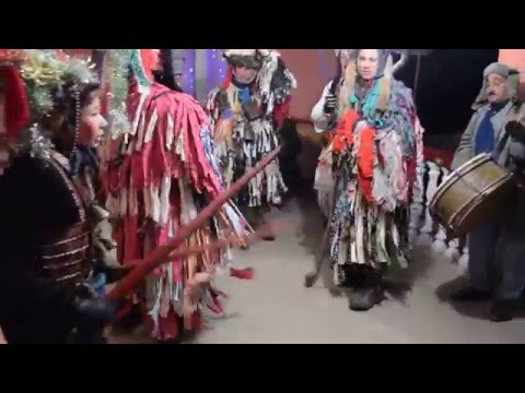 Capra de la Satu Nou 2016