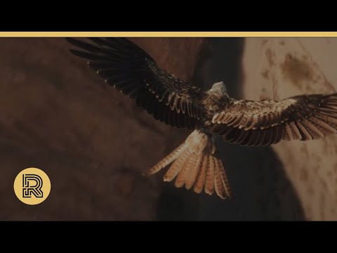 CGI 3D Animated Short: Artifice by New3dge | The Rookies