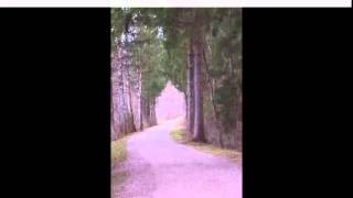 DJHansi Sonne -- Wonderfull Days2,1