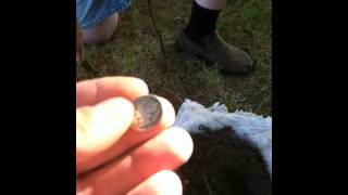 preview picture of video 'Metal Detecting with Marty at Irvine Park Chippewa Falls, WI 06-30 2012'