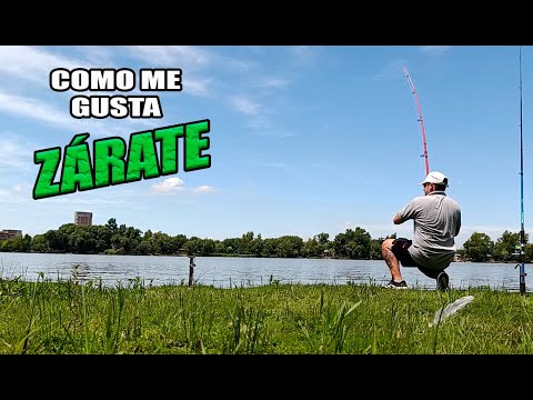 Dia de pesca en CAMPING hermoso en ZARATE, exploracion y aventura