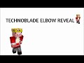 Technoblade Elbow Reveal
