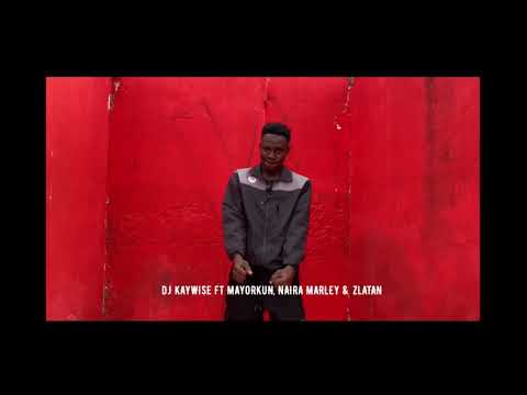 DJ KAYWISE FT ZLATAN ,NAIRA MARLEY & MAYORKUN - WHAT TYPE OF DANCE - FREESTYLE DANCE VIDEO