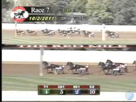 Kentucky Futurity Filly 1st Heat 2011 -Cedar Dove