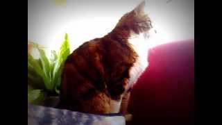 We will rule the world