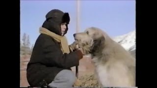 Stone Fox (1987) (TV Movie) Buddy Ebsen, Joey Cramer