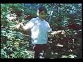 Terror Of The Woods 1964 Return To The Woods 1965